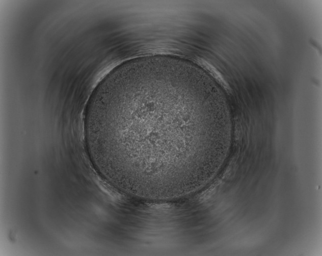 X0000091701031200708311049
