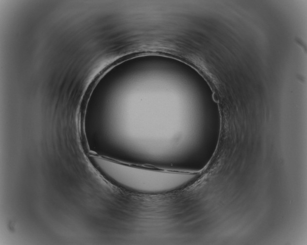 X0000091701032200708311049