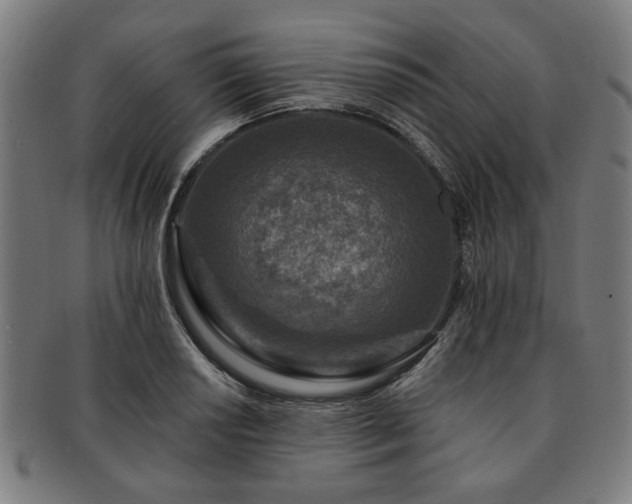 X0000091701034200708311049