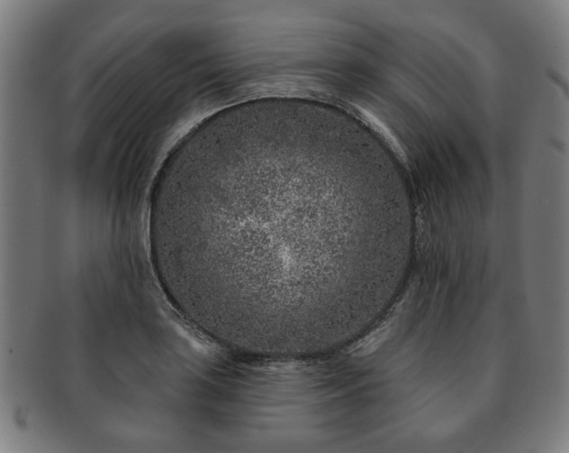 X0000091701035200708311049