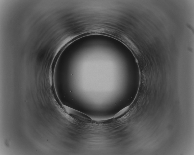 X0000091701036200708311049
