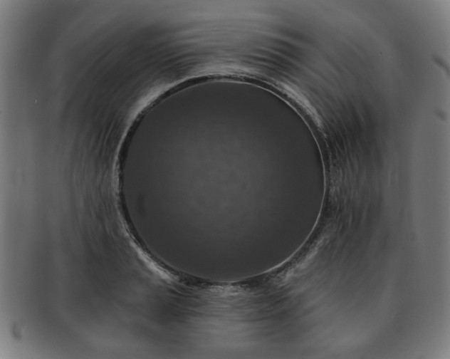 X0000091701037200708311049