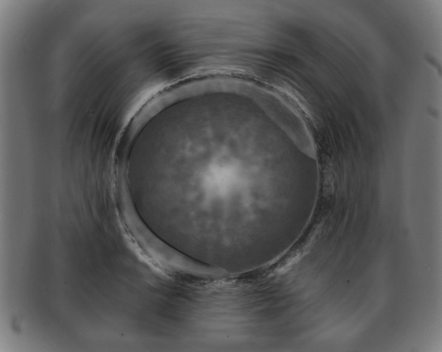 X0000091701038200708311049
