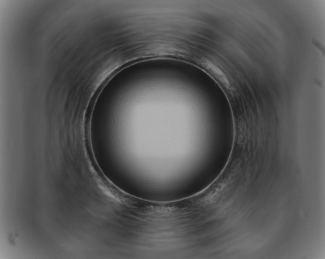 X0000091701039200708311049
