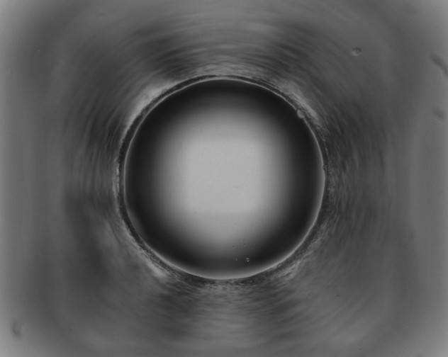 X0000091701040200708311049