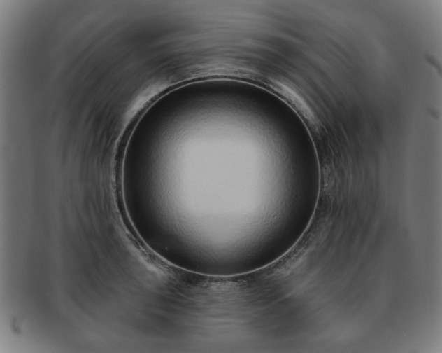 X0000091701043200708311049