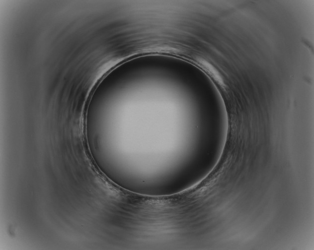 X0000091701044200708311049