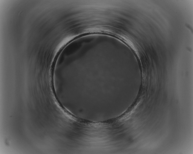 X0000091701045200708311049