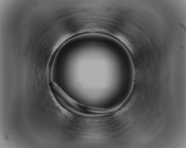 X0000091701046200708311049