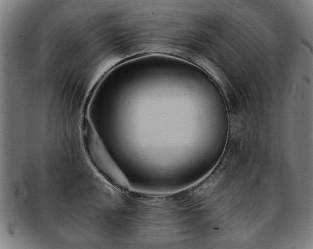 X0000091701048200708311049