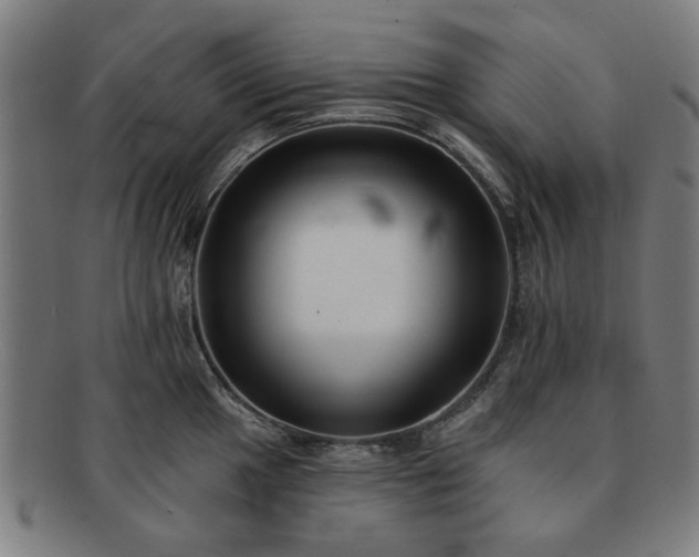 X0000091701049200708311049