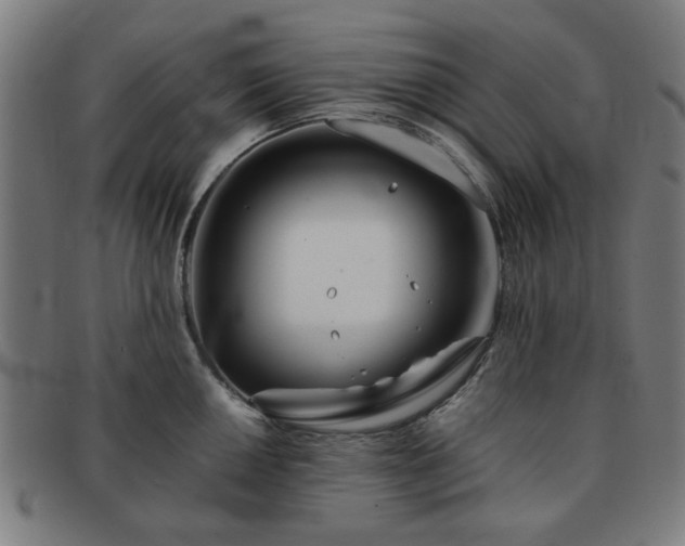 X0000091701050200708311049