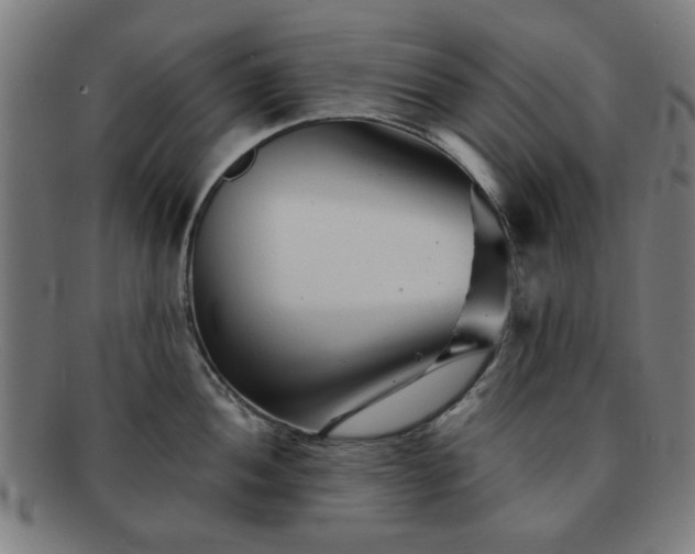 X0000091701052200708311049