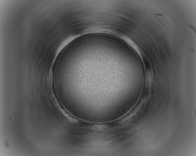 X0000091701053200708311049