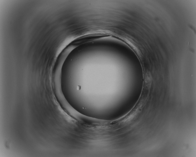 X0000091701054200708311049