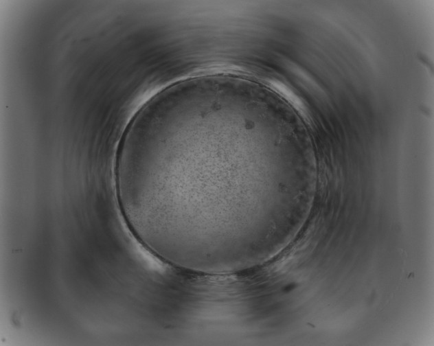X0000091701055200708311049