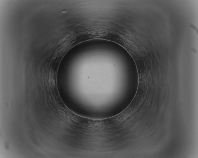 X0000091701058200708311048