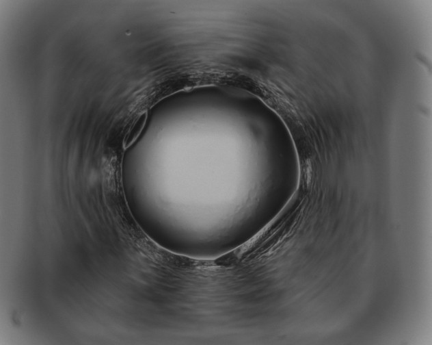 X0000091701059200708311048