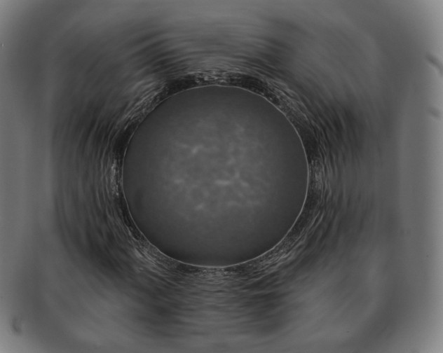 X0000091701060200708311048
