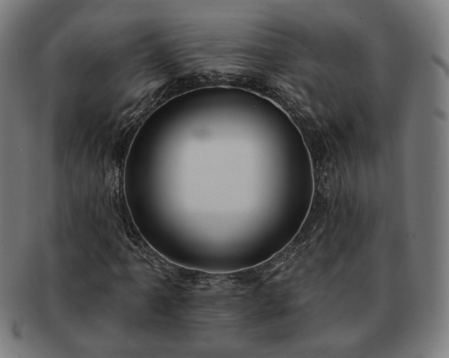 X0000091701061200708311048