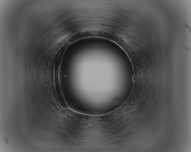 X0000091701062200708311048