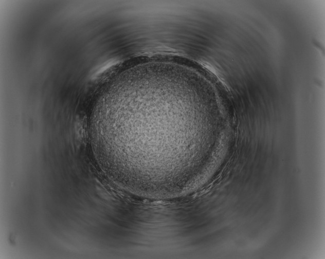 X0000091701063200708311048