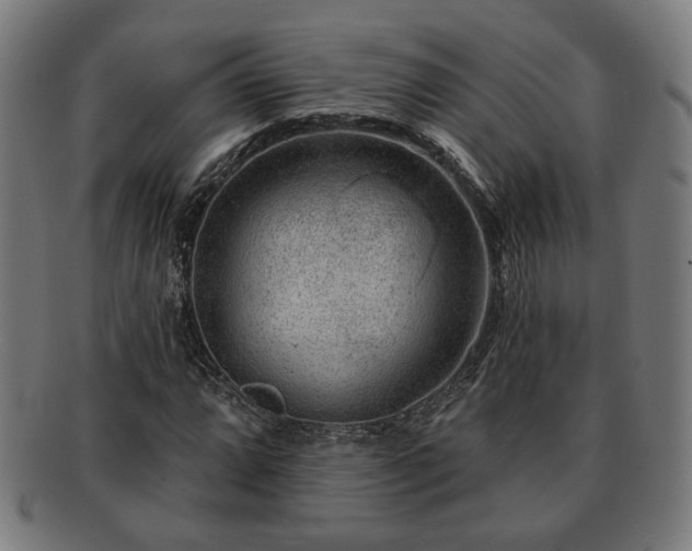 X0000091701064200708311048