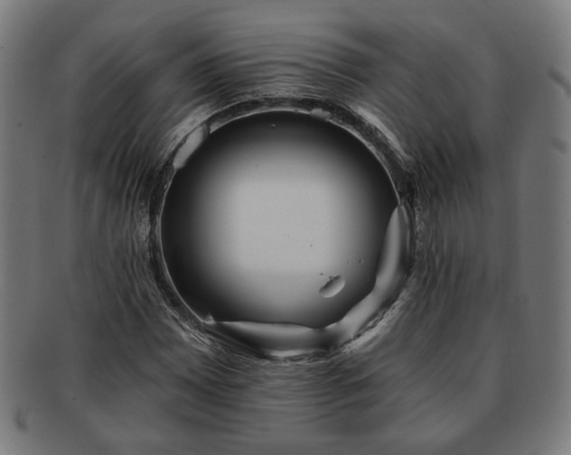 X0000091701065200708311048