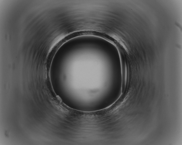 X0000091701069200708311048