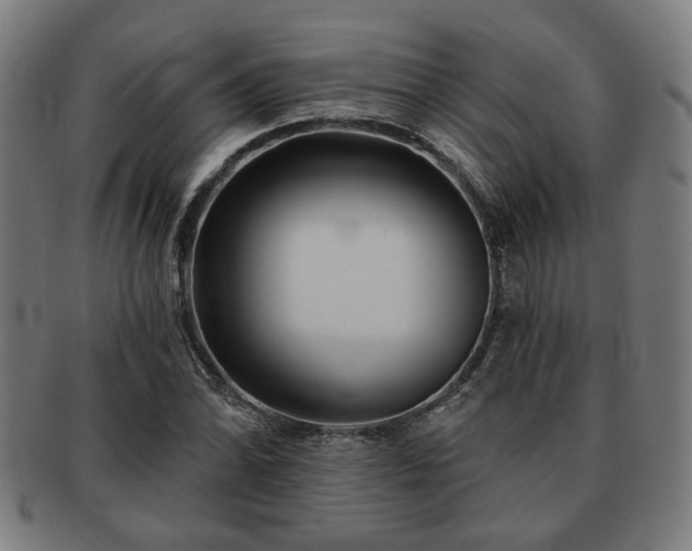 X0000091701070200708311048