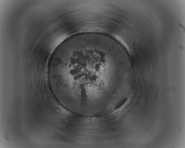 X0000091701071200708311048