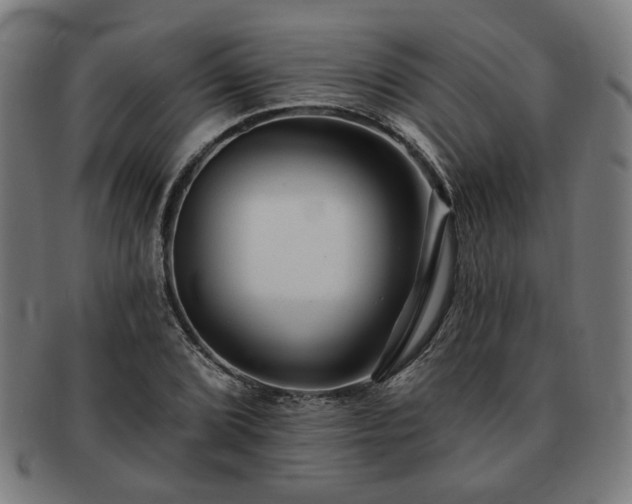 X0000091701072200708311048