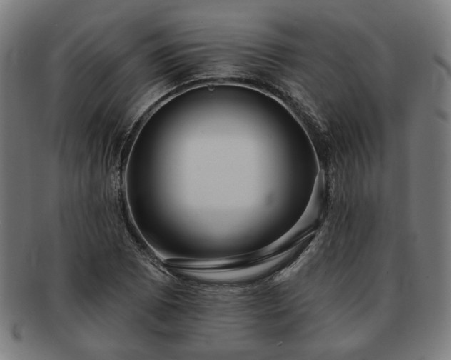 X0000091701073200708311048