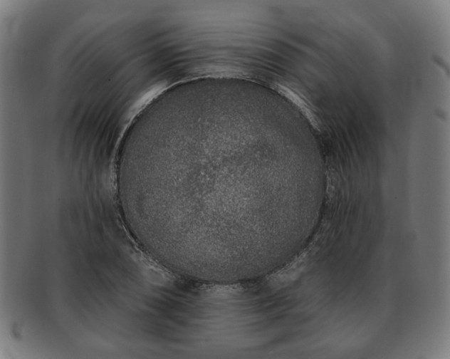 X0000091701074200708311048