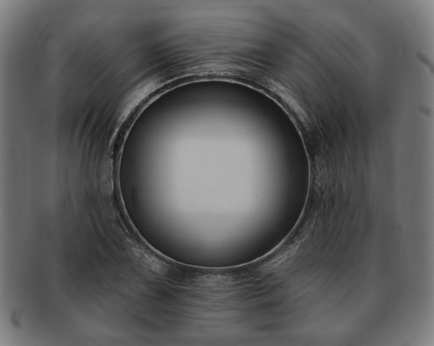X0000091701075200708311048