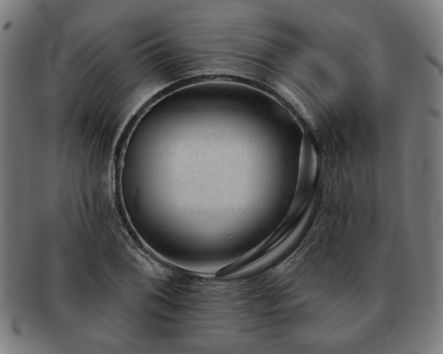 X0000091701076200708311048