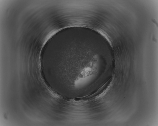 X0000091701077200708311048