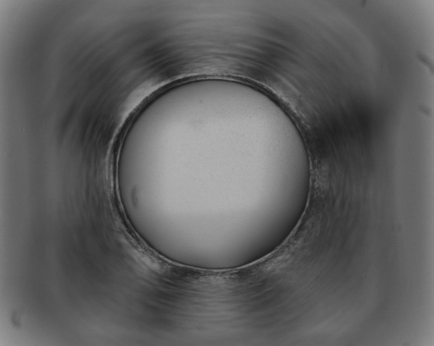 X0000091701078200708311048