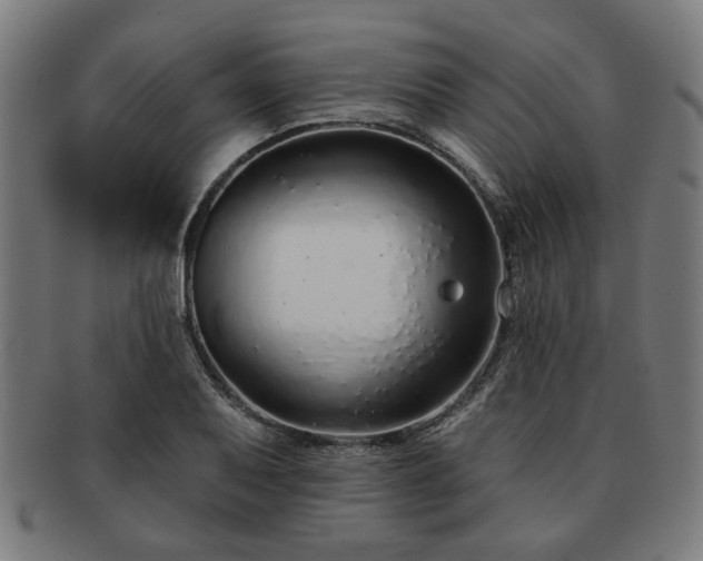 X0000091701079200708311048