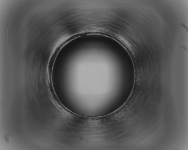X0000091701080200708311048