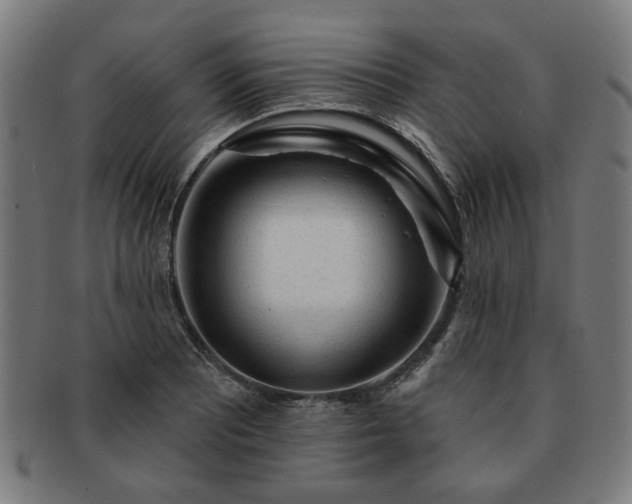 X0000091701081200708311048