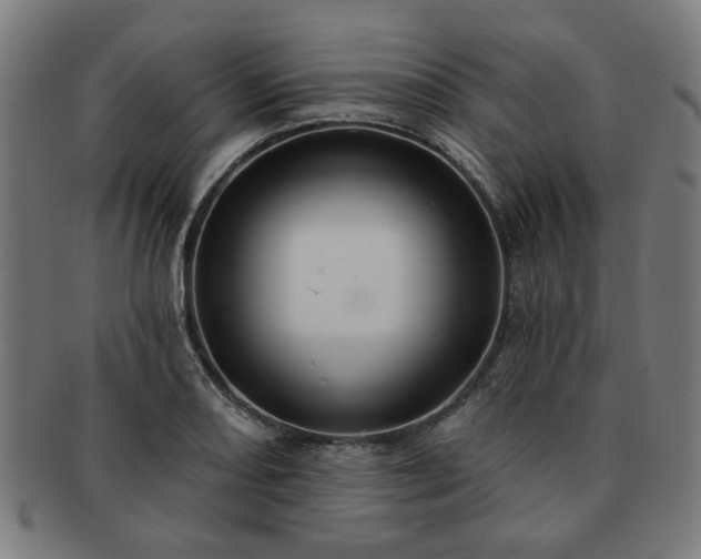 X0000091701082200708311048