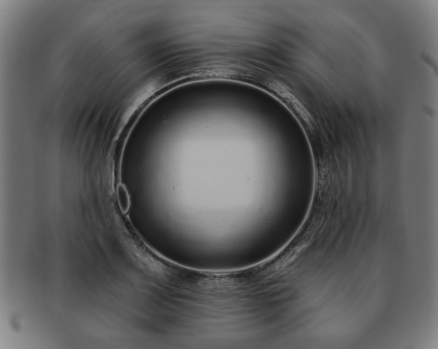 X0000091701083200708311048