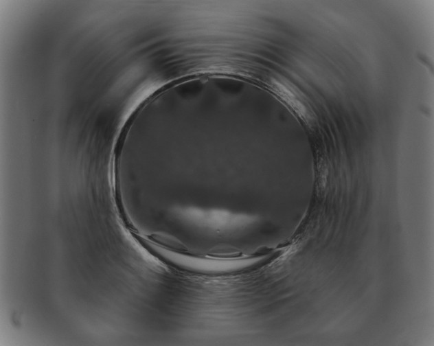 X0000091701084200708311048