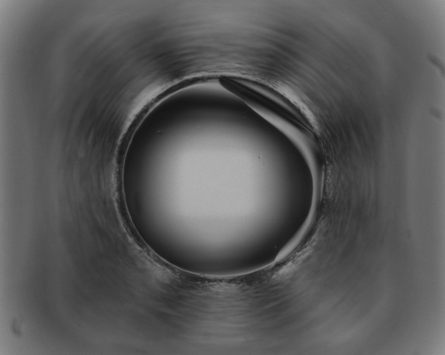 X0000091701085200708311048