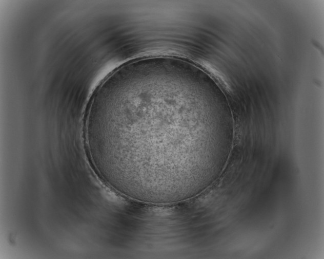 X0000091701086200708311048