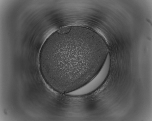 X0000091701087200708311048