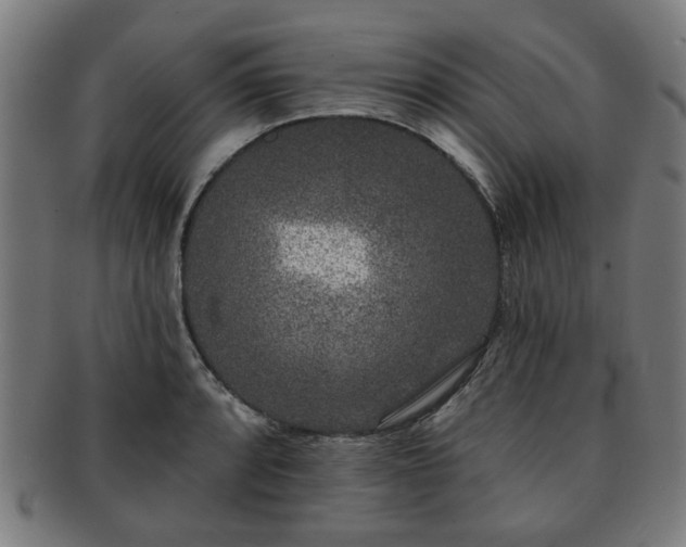 X0000091701088200708311048