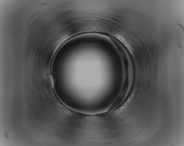X0000091701089200708311048