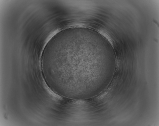 X0000091701090200708311048